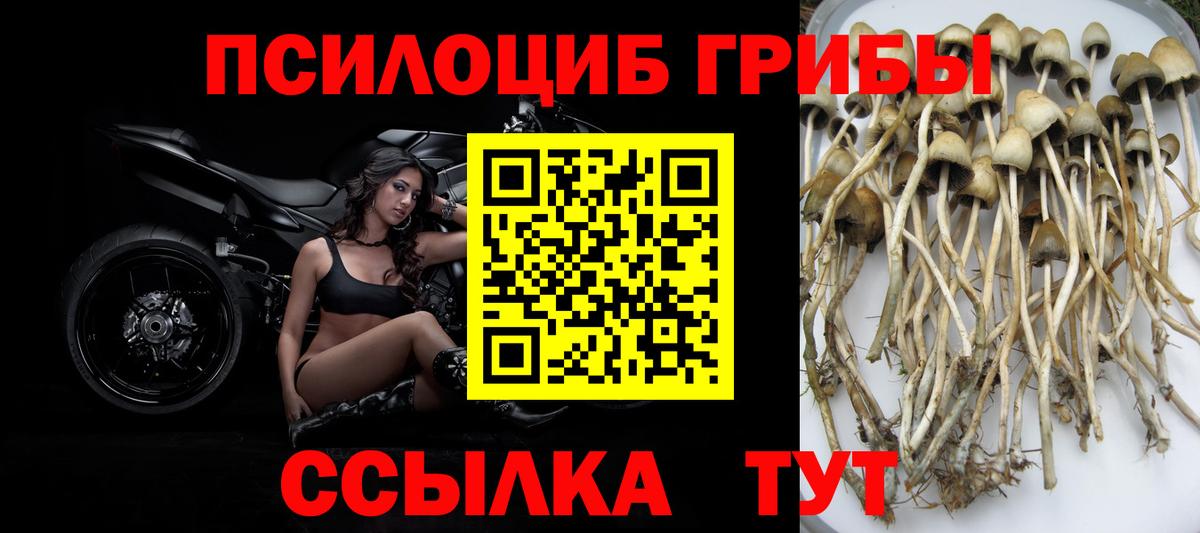 купить наркотики цена  Галлюциногенные грибы Cubensis  Вход с VPN  Лысьва 